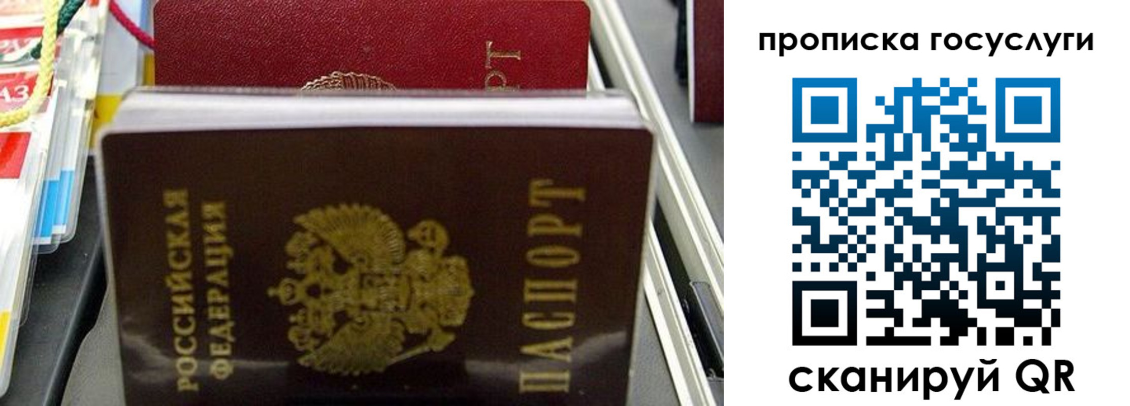 где прописаться в Россоши